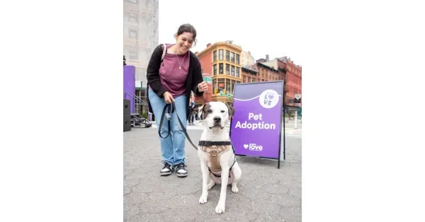 Petco Love Brings Together 14 Animal Shelters and Rescues for NYC's Biggest Pet Adoption Event and Block Party