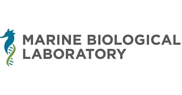 MBL Awarded $3.2 Million to Expand Cutting-Edge Microscopy Infrastructure