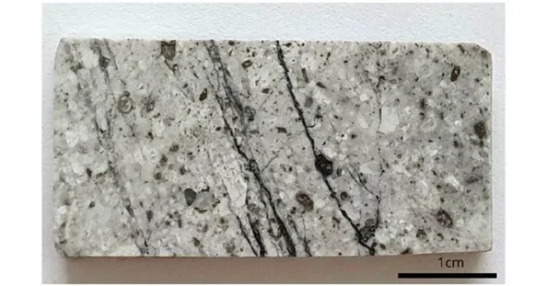 ORVANA PROVIDES TAGUAS DRILLING UPDATE: FULL ASSAY RESULTS FROM TADD-278; SECOND HOLE RESULTS PENDING