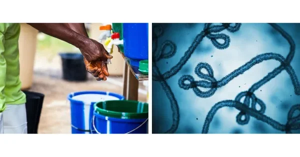 Infection-control readiness cannot wait for crisis, warns Hydrachem after Ebola response supply work